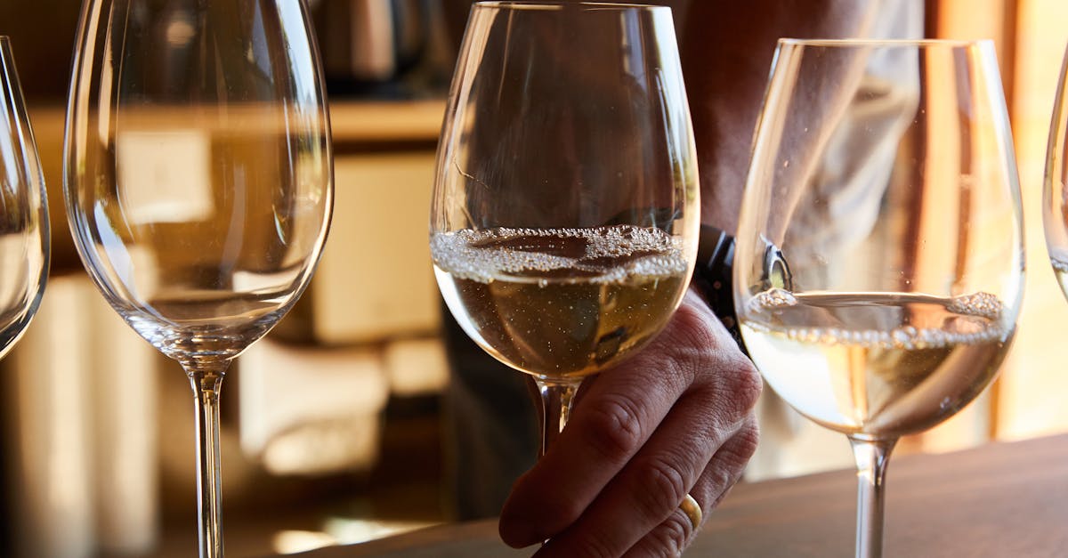 degustation-vin