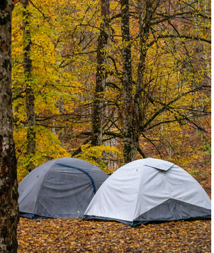 Campings en famille : les avantages d’un hébergement proche de la nature